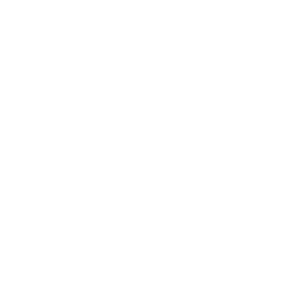 2SP Logo - Knockout-svg